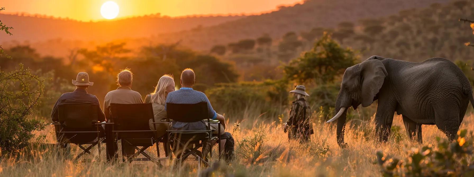 a breathtaking wildlife safari scene unfolds under golden sunset light, capturing vibrant animals in their natural habitat as travelers marvel in the background, immersed in the beauty of the untamed landscape.