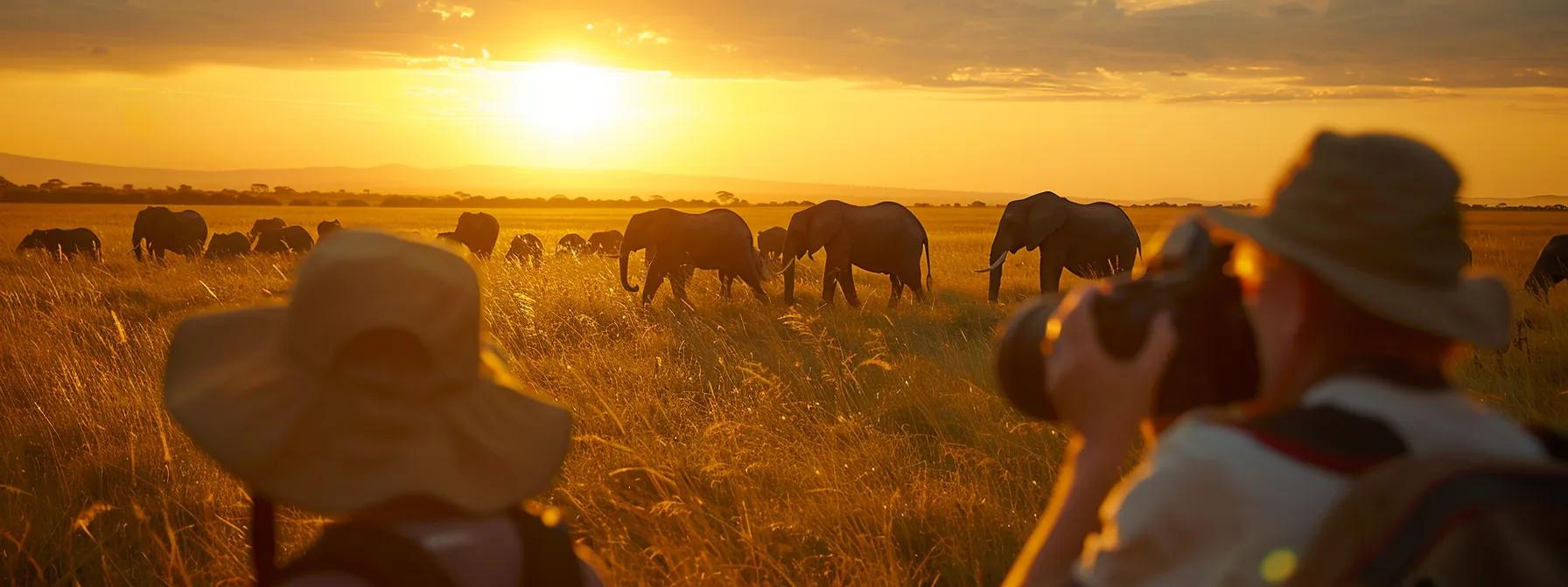 a vibrant wild safari scene captures a group of travelers marveling at majestic elephants grazing under a golden sunset, with the expansive savannah stretching endlessly in the background.