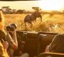 a vibrant scene of a sunlit tanzanian safari, showcasing a diverse group of travelers marveling at the majestic wildlife against a backdrop of golden savannah grasses and acacia trees.